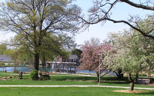 威尼斯人在线一直标榜自己是密苏里州“最美丽的州立大学校园”，这要归功于它绿树成荫的校园景观.