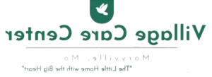 Village Care center Logo